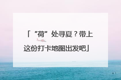 “荷”处寻夏？带上这份打卡地图出发吧